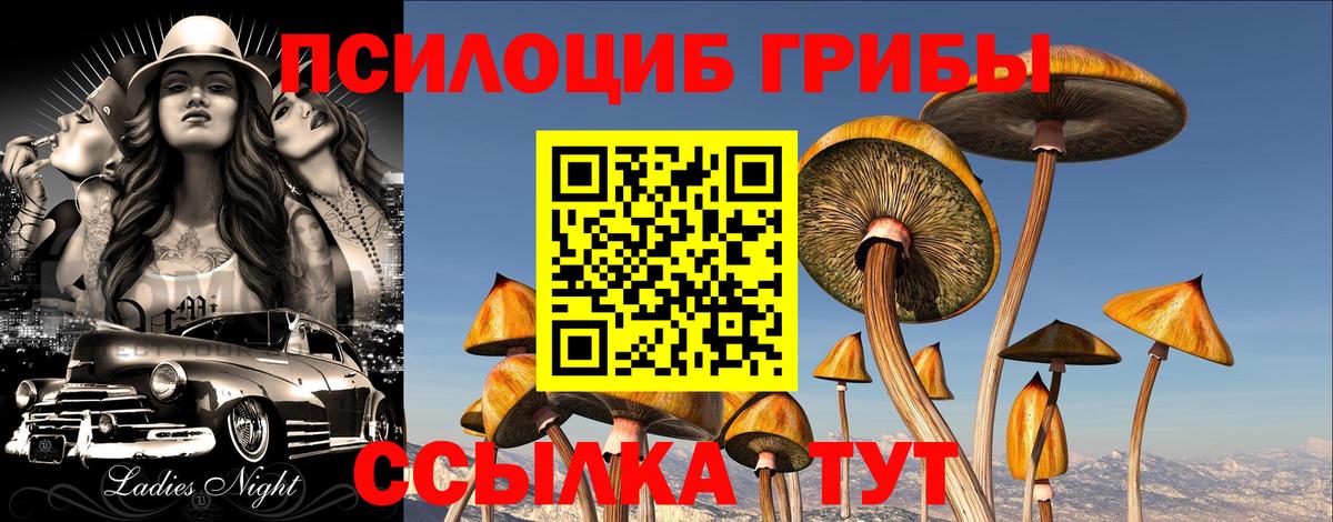 Галлюциногенные грибы MAGIC MUSHROOMS Краснокаменск