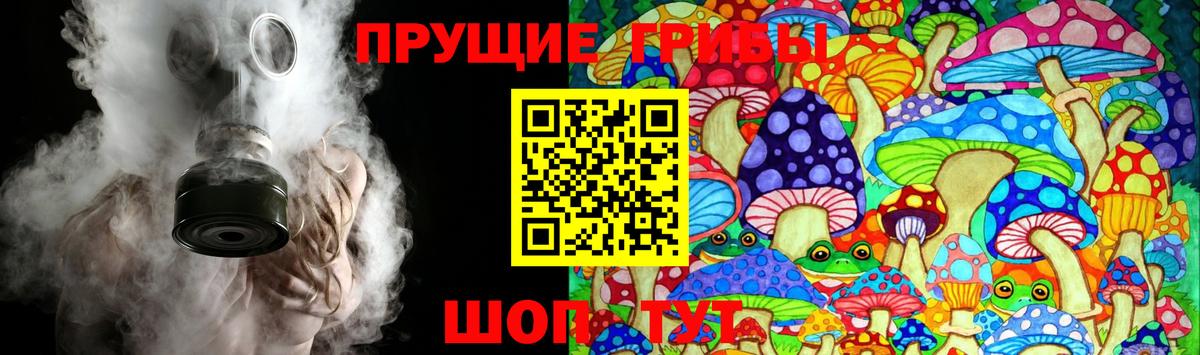 Псилоцибиновые грибы Cubensis  цена наркотик  Краснокаменск  Вход с VPN 