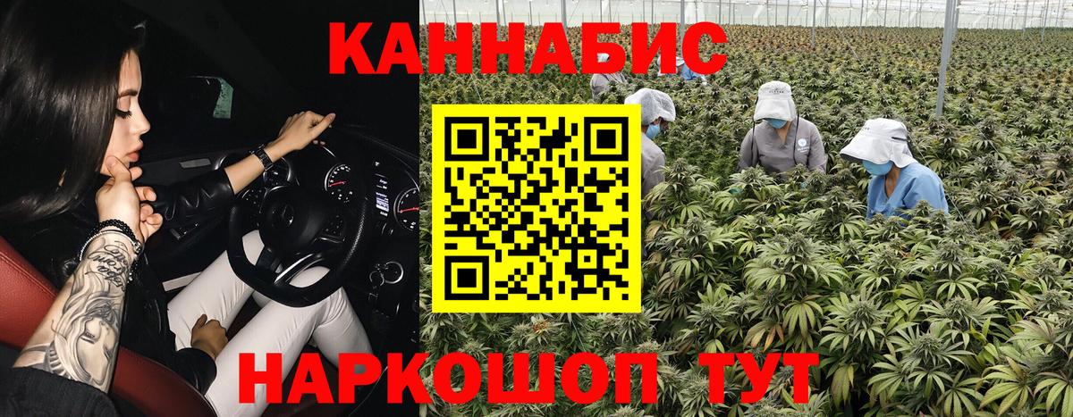 МЕФ Краснокаменск